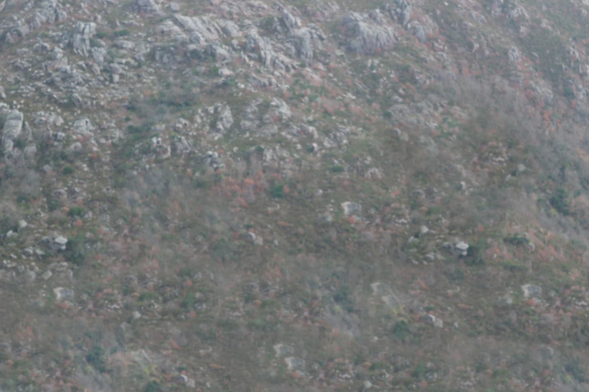 Rocky mountain terrain
